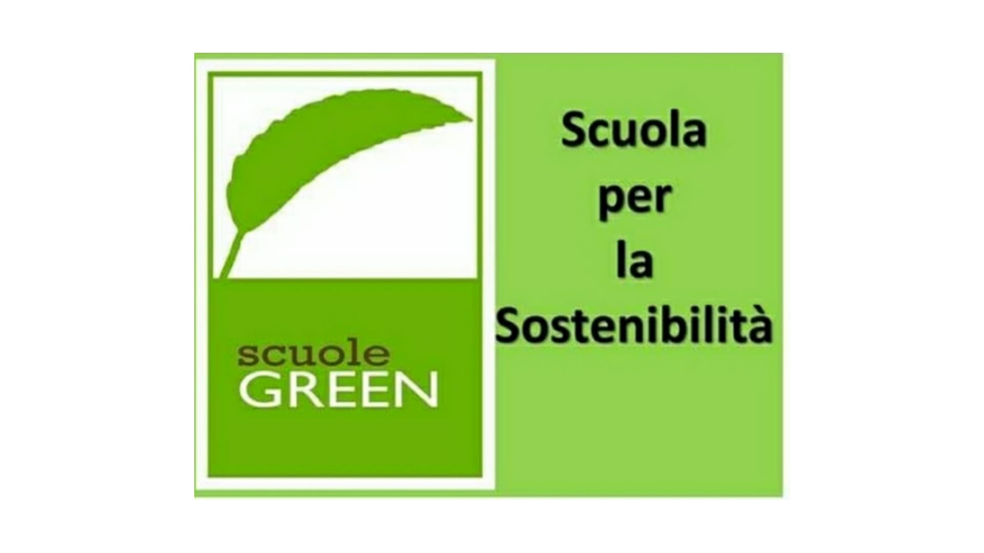 SCUOLE GREEN